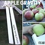 Image result for Gravity Apple