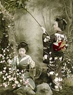 Image result for Ancient Japanese Photography