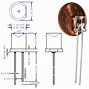 Image result for LED Diode 5Mm