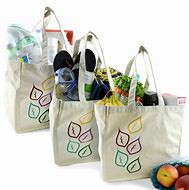 Image result for Eco-Friendly Bags