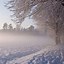 Image result for Holland Winter
