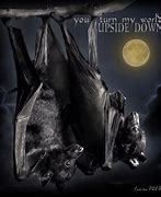 Image result for Bat Art Print
