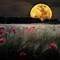Image result for Moon and Sea Wallpaper