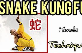 Image result for Snake Style Kung Fu