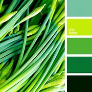 Image result for Apple Green Colour Aesthetic