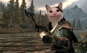 Image result for Funny Moments in Skyrim