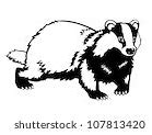 Image result for Weasel Clip Art