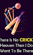 Image result for Cricket Quotes for Instagram