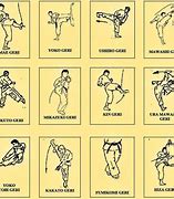 Image result for top 10 deadliest kicks in karate
