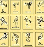 Image result for Karate Styles Family Tree