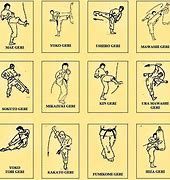 Image result for Different Types of Karate