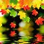 Image result for Cool Fall Backgrounds