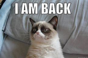 Image result for I'm Back Funny Quotes
