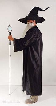 Image result for Setup Wizard Costume