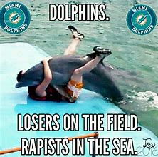 Image result for Dolphins vs Jets Meme