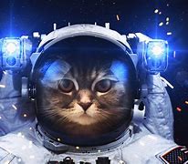 Image result for Cat Astronaut Wallpaper