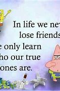 Image result for Sponge Quotes