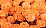 Image result for Floral Wallpaper for iPhone