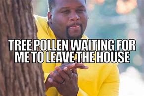Image result for Pollen Meme