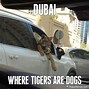 Image result for Hello Dubai Meme