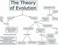 Image result for Darwin Evolution Chart