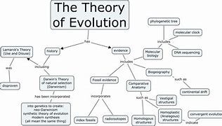 Image result for Evolution Concept Map