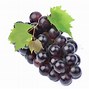 Image result for Grape Cluster Diseases