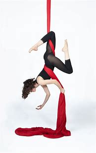 Image result for Aerial Silk Dance
