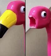 Image result for Cursed Flamingo Images Roblox