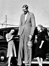 Image result for 6 Foot 7 Tall