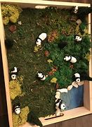 Image result for Panda Habitat Diorama