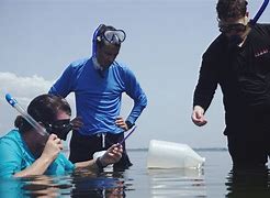 Image result for estuary program video