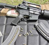 Image result for Best 22LR AR Style Rifle