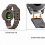 Image result for Garmin 2 Strap Replacement