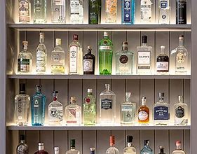 Image result for Top 5 Gin Brands