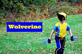 Image result for Sports Halloween Costumes