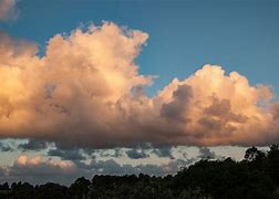 Image result for cumulus_mediocris