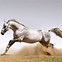 Image result for Pretty Horse Wallpaper