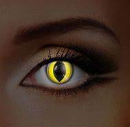 Image result for Yellow Cat Eye Contacts