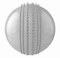 Image result for White Cricket Hanging Ball