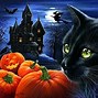 Image result for SubCat Happy Halloween
