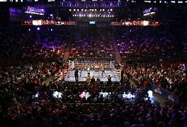 Image result for Crowd at Boxing Match