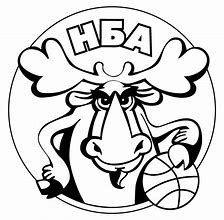 Image result for NBA Logo All White