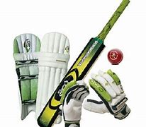 Image result for Cricket Sport Equipment