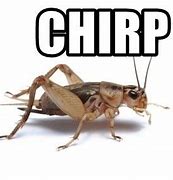 Image result for Crickets Chirping Emoticon