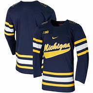 Image result for Michigan Wolverines Jersey