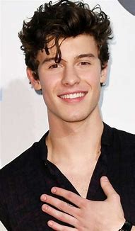 Image result for Shawn Mendes Haircut