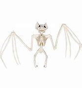 Image result for Bat Skeleton Halloween Prop