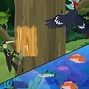 Image result for Wild Kratts Animal Games