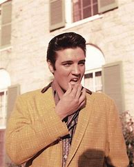 Image result for Elvis Presley Style